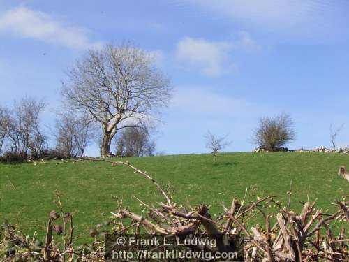 Carrowmore